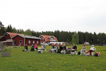 Hela gänget