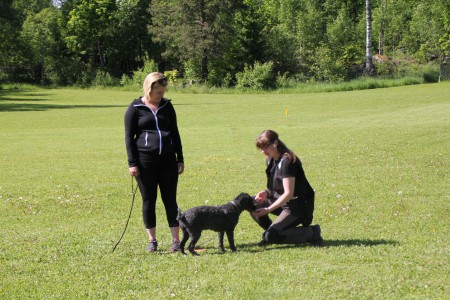 Ella hälsar på främmande person