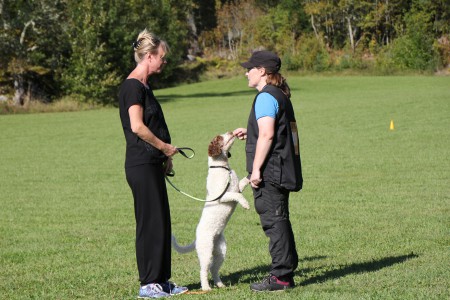 Tussbergets Anatis "Ruby" med matte Marie i "Främmande person"