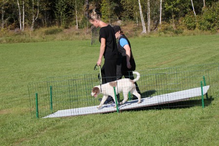 "Ruby" på "Underlag"